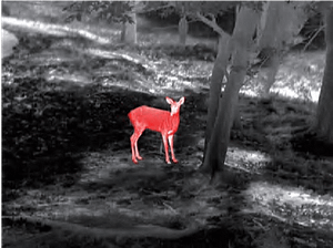 紅外線熱像儀對比2-2